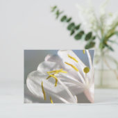 ハニーサックルはがき ポストカード (スタンド正面)