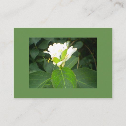 ハニーサックルツリー 名刺 (正面)