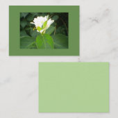 ハニーサックルツリー 名刺 (正面/裏面)