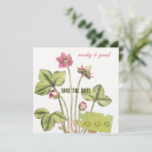 ハニーサックルピンクの花の植物保存日 セーブザデート (スタンド正面)