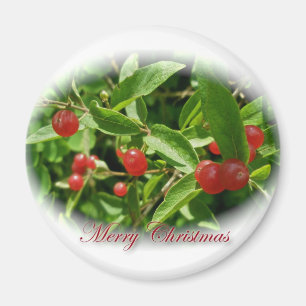 ハニーサックルベリーのクリスマスマグネット マグネット