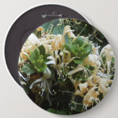 ハニーサックル開花 缶バッジ (正面&裏面)