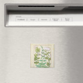 ハニーサックル、セージとバラ マグネット (インサイチュ (食洗機))