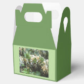 ハニーサックル フェイバーボックス (オープン)