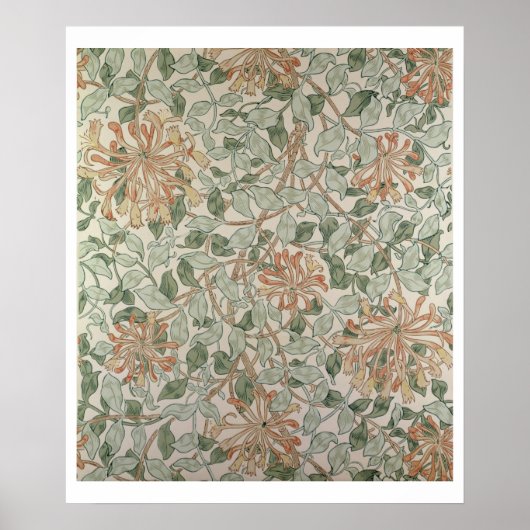 'ハニーサックルII'デザイン ポスター (正面)