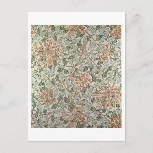 'ハニーサックルII'デザイン ポストカード (正面)