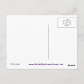 ハニーデューバイエリザベスカイル ポストカード (裏面)