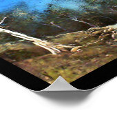 ハニーバンディット ポスター (角)