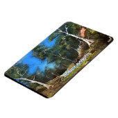 ハニーバンディット マグネット (左側)