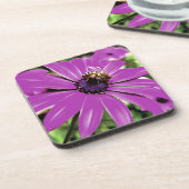 ハニービーが紫のアフリカのデイジーアート コースター (左側)
