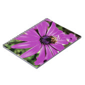 ハニービーが紫のアフリカのデイジーアート ノートブック (左側)