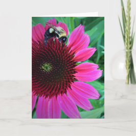 ハニービーがConeflowerに入ったカード カード