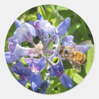 ハニービーのステッカー ラウンドシール