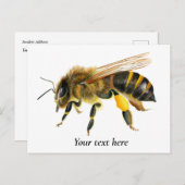 ハニービーの水の絵画色 ポストカード (正面/裏面)