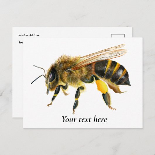 ハニービーの水の絵画色 ポストカード (正面/裏面)