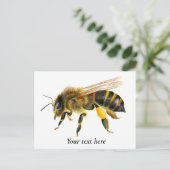 ハニービーの水の絵画色 ポストカード (スタンド正面)