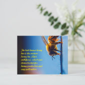 ハニービーはがき ポストカード (スタンド正面)