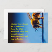 ハニービーはがき ポストカード (正面/裏面)