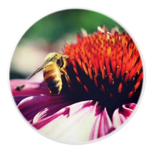 ハニービーオンコンフロアークローズアップ セラミックノブ (正面)