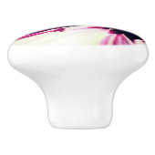 ハニービーオンコンフロアークローズアップ セラミックノブ (側面)