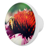 ハニービーオンコンフロアークローズアップ セラミックノブ (右)