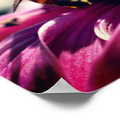 ハニービーオンコンフロアークローズアップ ポスター (角)