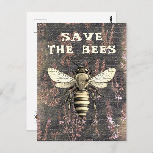 ハニービー救ザビースクリプト白黒 ポストカード (正面/裏面)