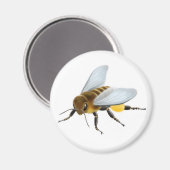 ハニービー磁石 マグネット (正面/裏面)