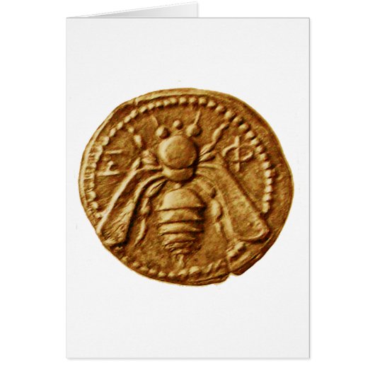 ハニービー (正面)