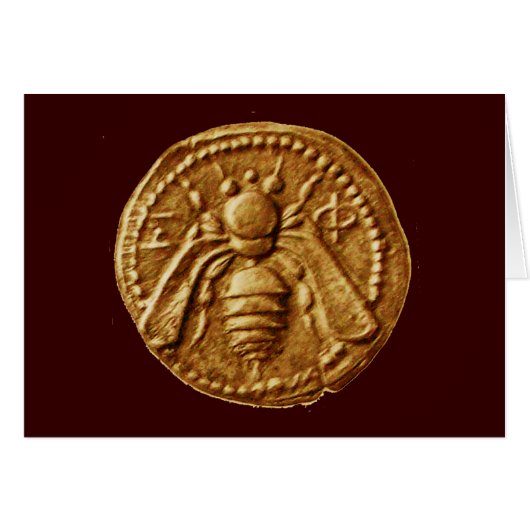 ハニービー (正面横)