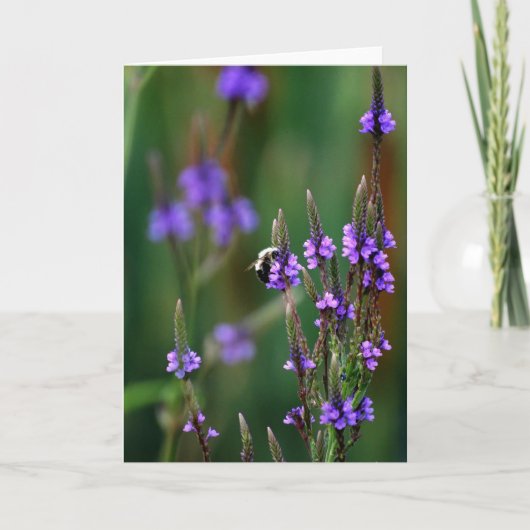 ハニービー カード (正面)