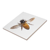 ハニービー タイル (側面)