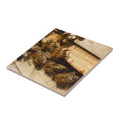 ハニービー タイル (側面)