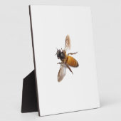 ハニービー フォトプラーク (側面)