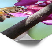 ハニービー ポスター (角)