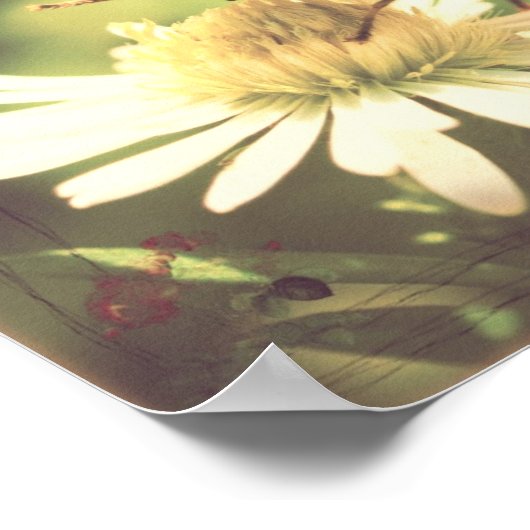 ハニービー ポスター (角)