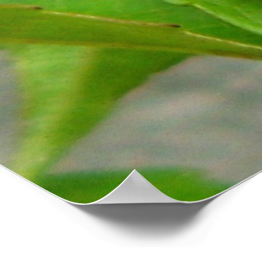 ハニービー ポスター (角)