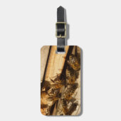 ハニービー ラゲッジタグ (正面縦)