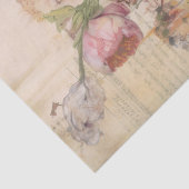 ハニービー 薄葉紙 (詳細)