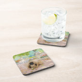 ハニーペキン語のフローラ設定 コースター (右側)