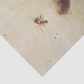 ハニーポットでベアーカブ 薄葉紙 (詳細)