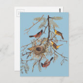 ハニーロクストのオードボンオーチャードオリオール ポストカード (正面/裏面)