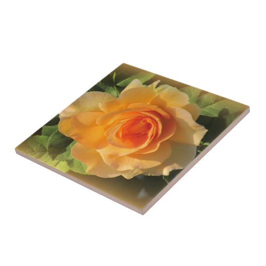 ハニー香料バラ タイル (側面)