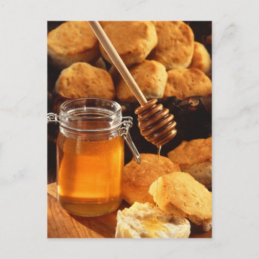 ハニー ポストカード (正面)