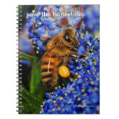 ハニ救ビーがカリフォルニア州の薄紫に授粉 ノートブック (正面)