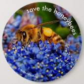 ハニ救ビーがカリフォルニア州の薄紫に授粉 缶バッジ (正面)