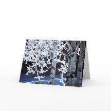 ハヌカをお祝い　シベリアの樺の木に霜