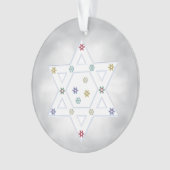 ハヌッカスターとスノーフレークスグレイ オーナメント (正面)