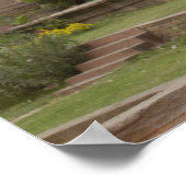 ハヌマン・ラングールまたは黒い顔、共通または灰色 ポスター (角)