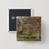 ハヌマン・ラングールまたは黒い顔、共通または灰色 缶バッジ (正面&裏面)